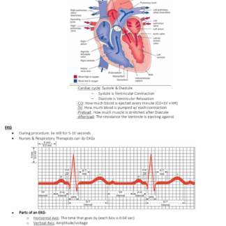 Cardiac Study Guide