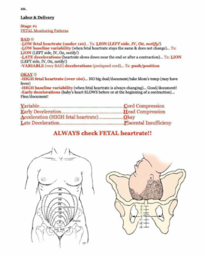 NCLEX RN Study Guide Cram Sheet - Image 3