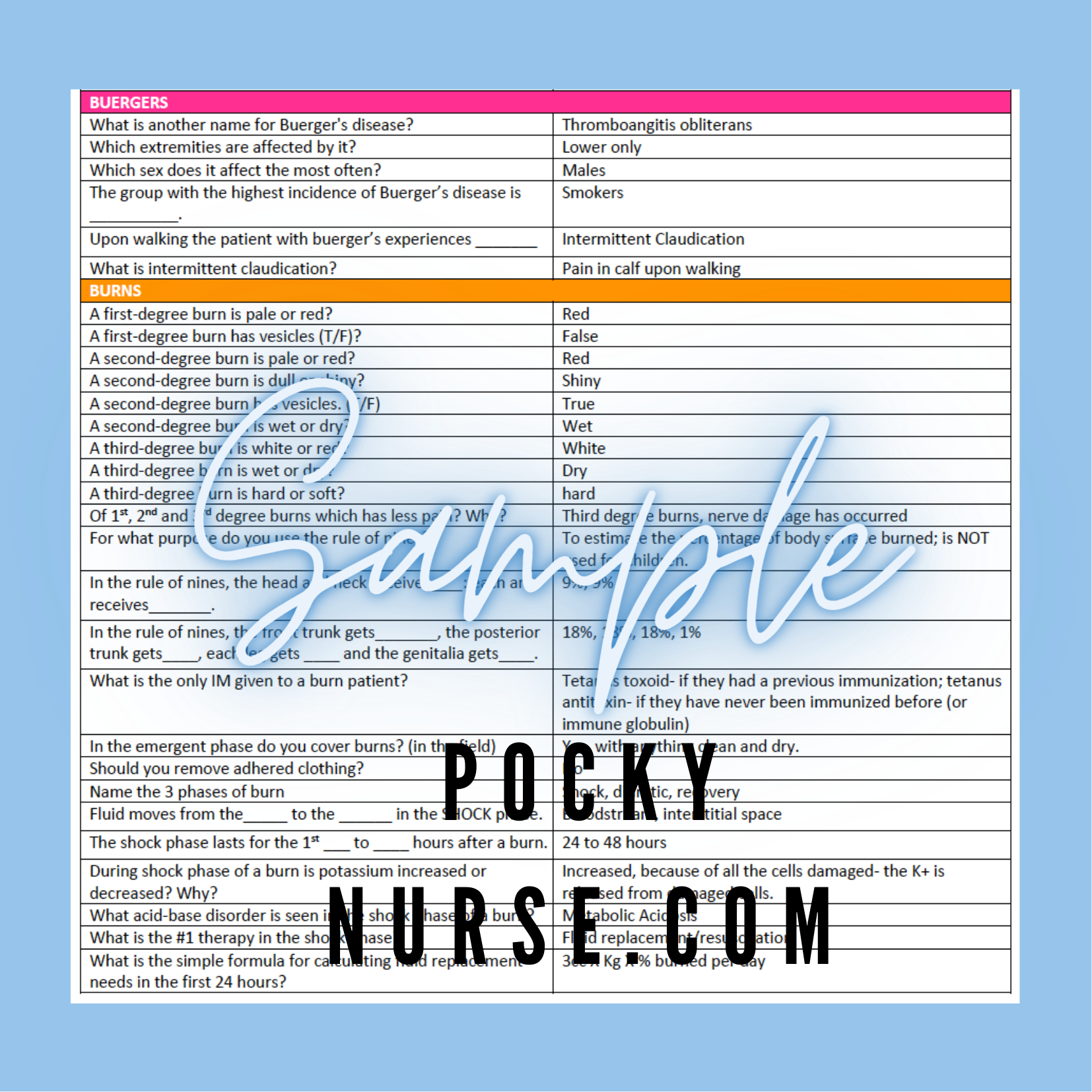 Mark Klimek Condensed Blue Book NCLEX Review Pocky Nurse