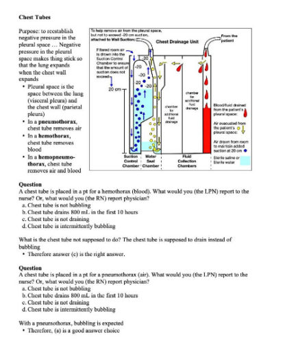 Mark K NCLEX Review Study Guide - Over 90 Pages of Notes from Mark K's Lectures!! - Image 3